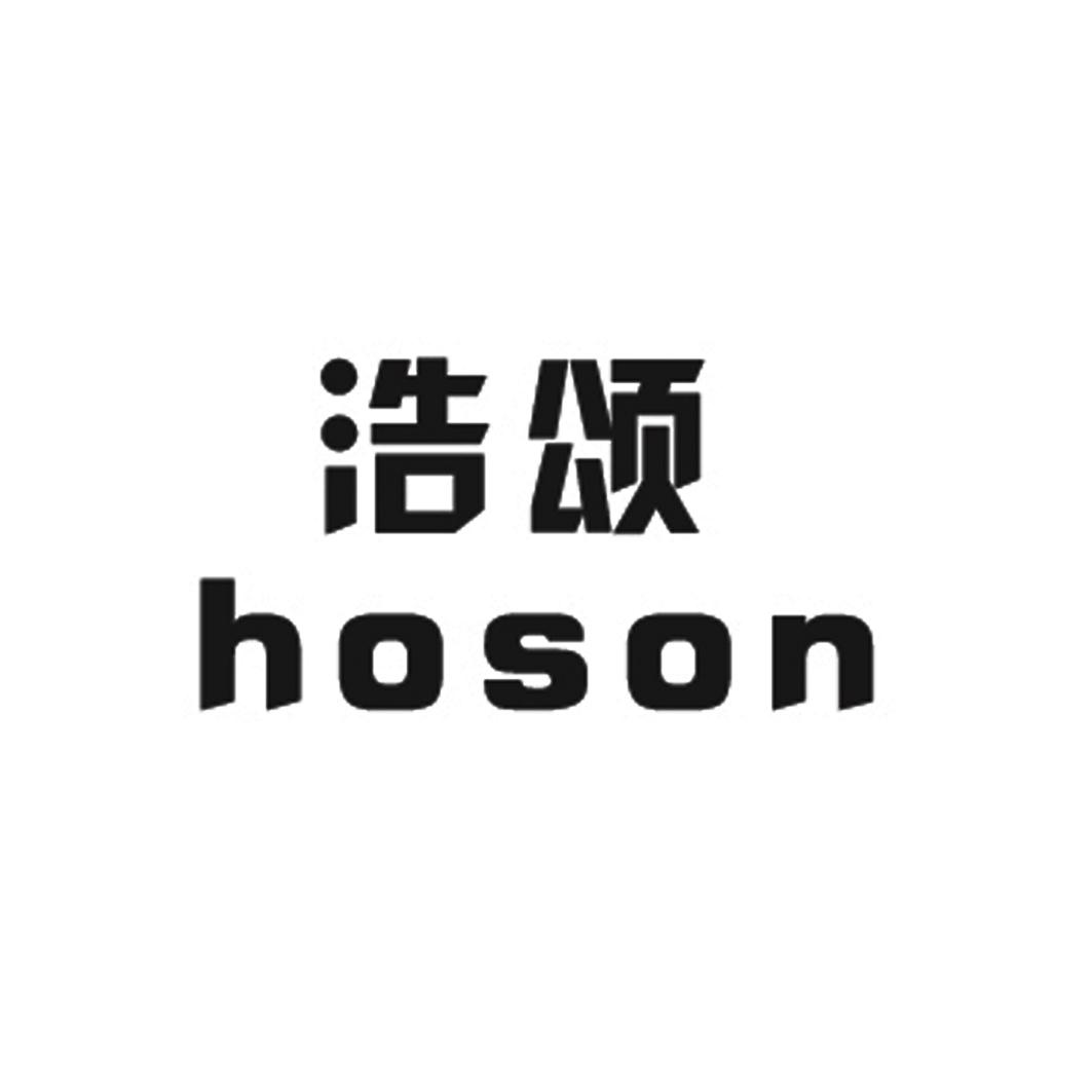 浩颂 HOSON