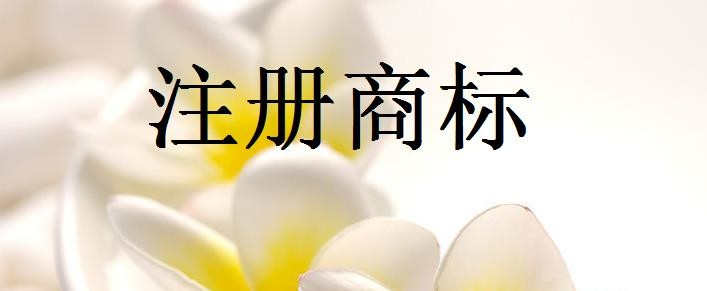 欧共体商标常见问题