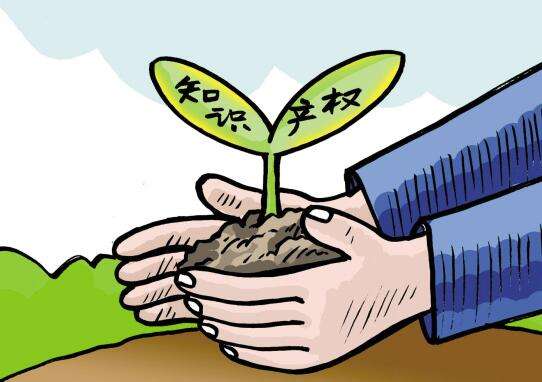 实用新型专利存在的价值